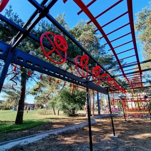OCR CAGE