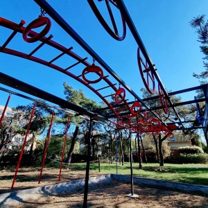 OCR TRAINING CAGE 