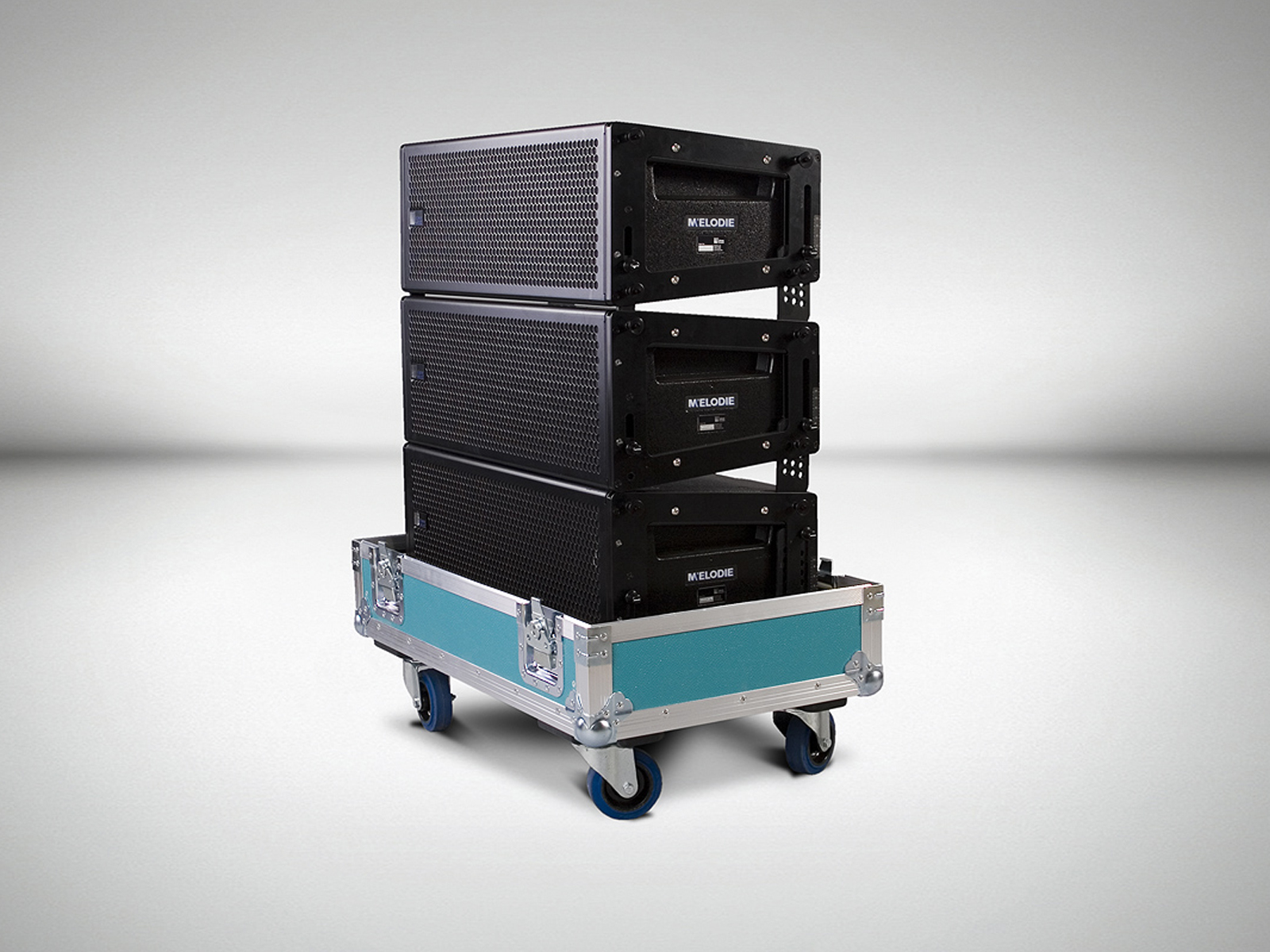 10Meyersound M'elodie Flight case