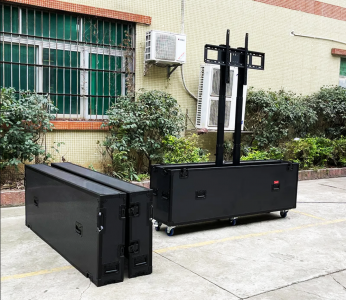 1TV Screen Lift Flight Case