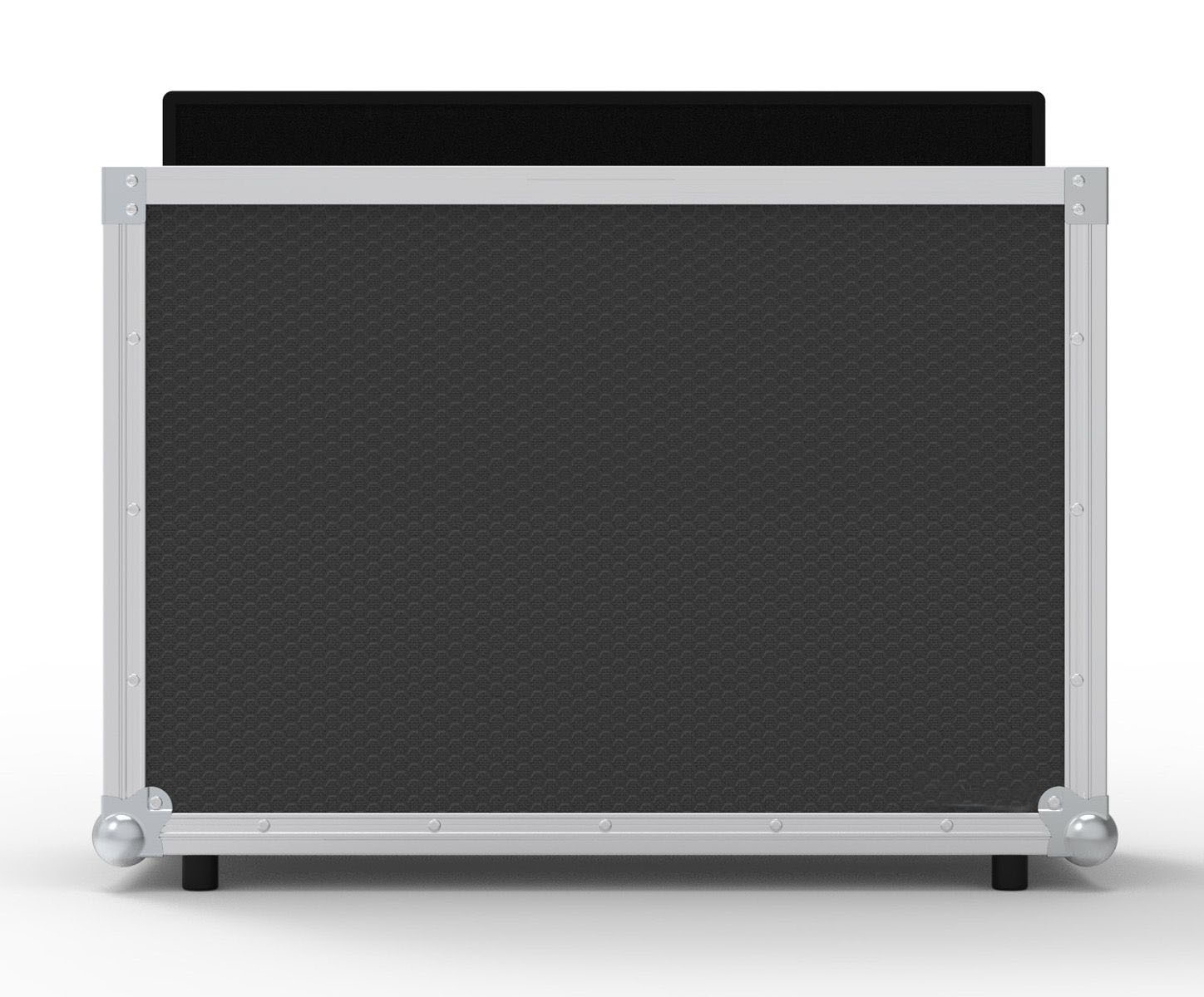 1Screen Flight Case