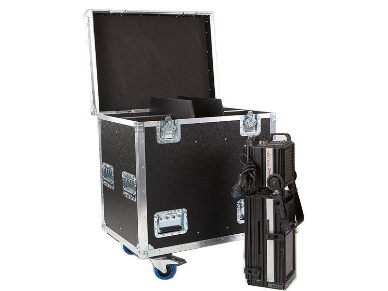 Spotlight Sintesi Figura 12 ZS CASE