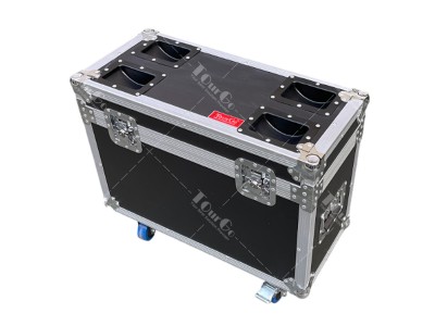 Flight Case 2 hoists per case