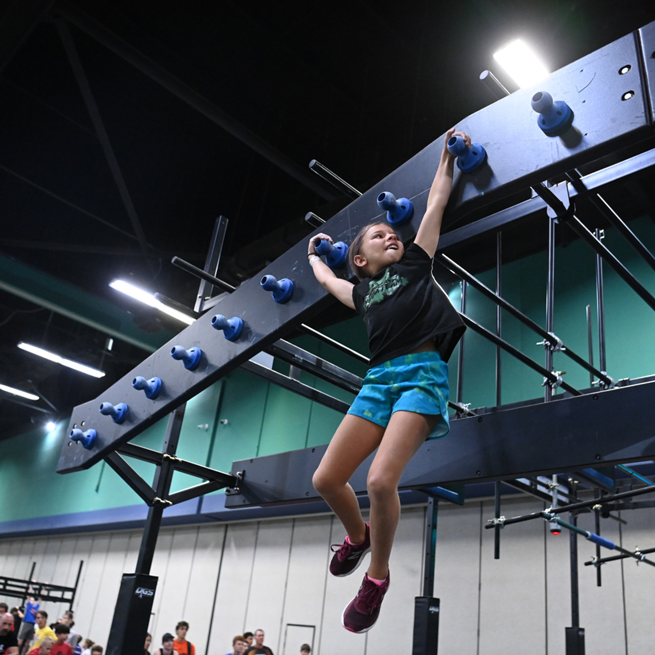 Ninja hanging Obstacles