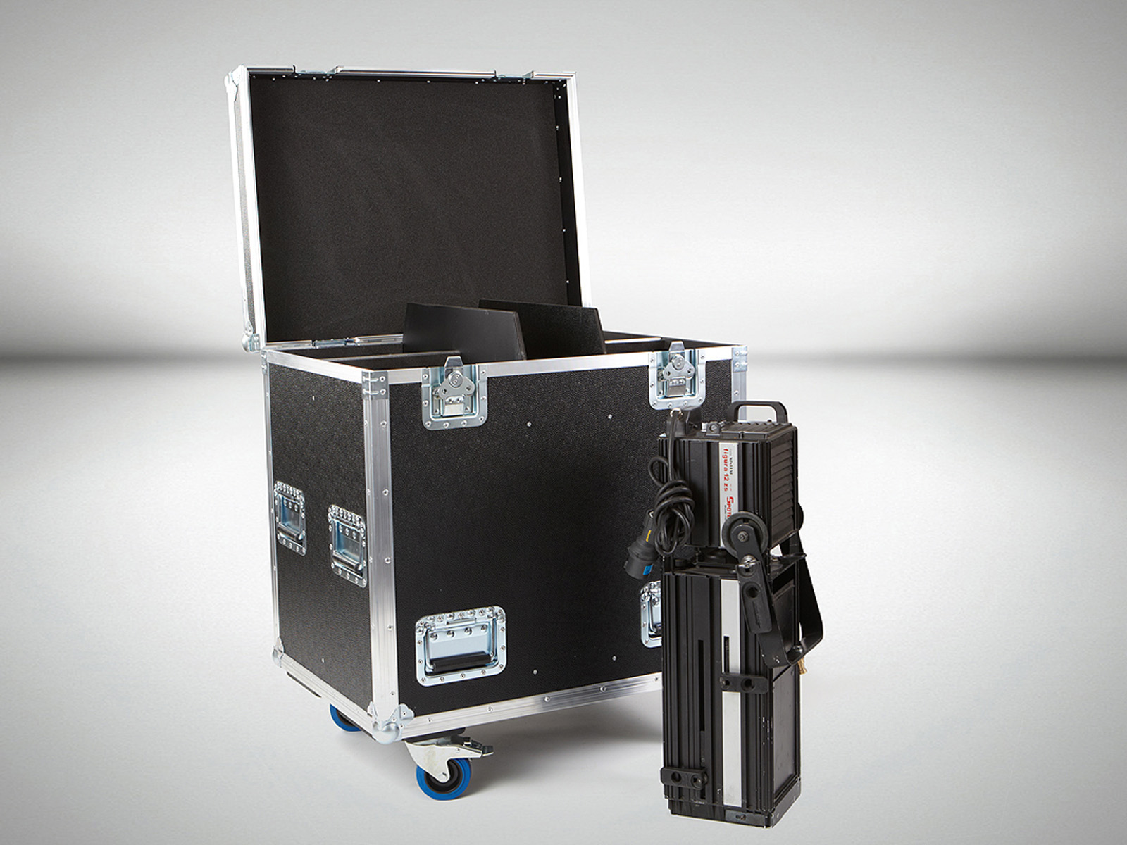 2Spotlight Sintesi Figura 12 ZS CASE