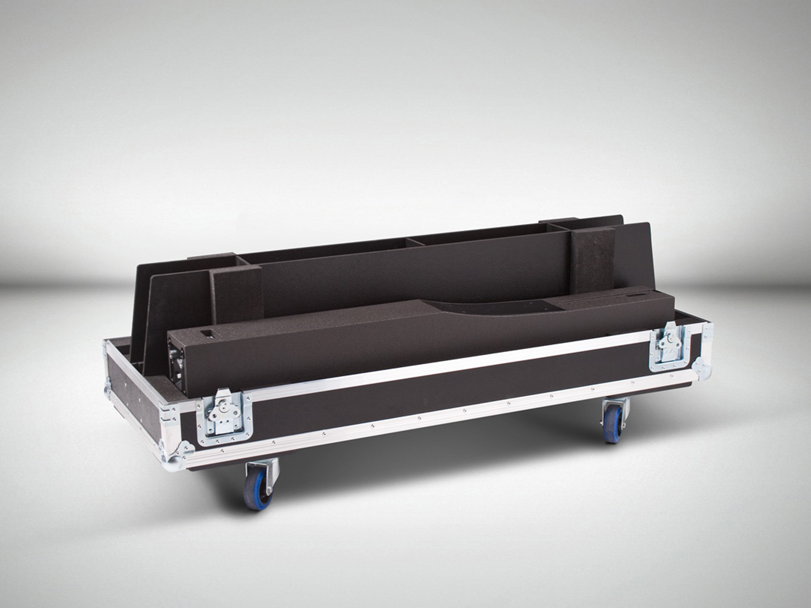 21L-ACOUSTIC Syva (2)  Flight case