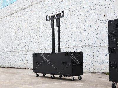 2 TV flight case