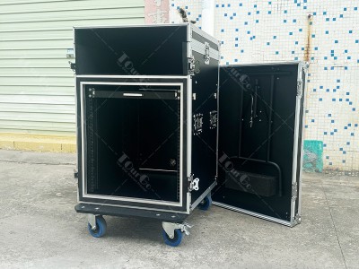 2 12U Cabinet Rack Case