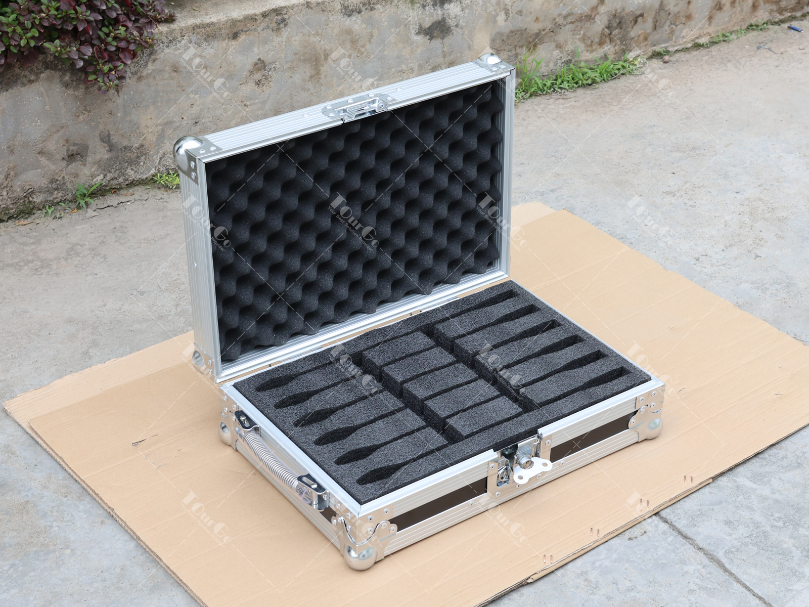 2 Microphone Flight Case