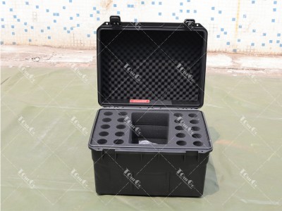 2 Microphone PE Case