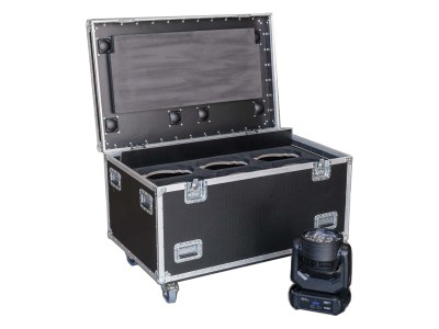 Moving Head Cases / 48 X 30 CASE WITH ROBE LED BEAM 350 INSERT