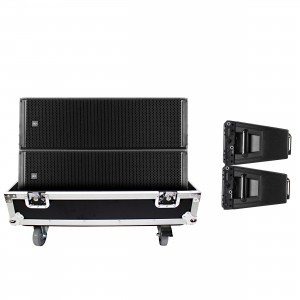 2Speaker Flight Case