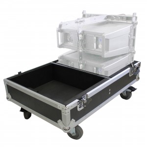 2Line Array Flight Case