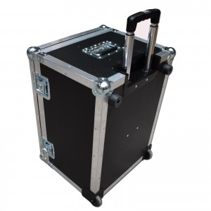 2Apple iPad Flight Case
