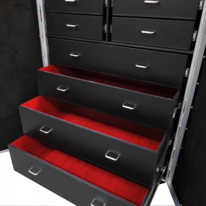 2Display Cabinet Case