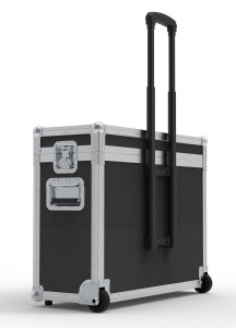 2Screen Flight Case