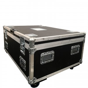3Projector Flight Case