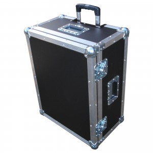 3Apple iPad Mini Flight Case
