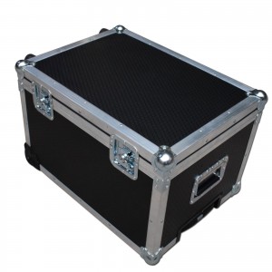 3Apple iPad Flight Case