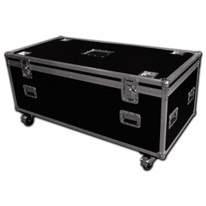 3Custom Camcorder Flight Case 