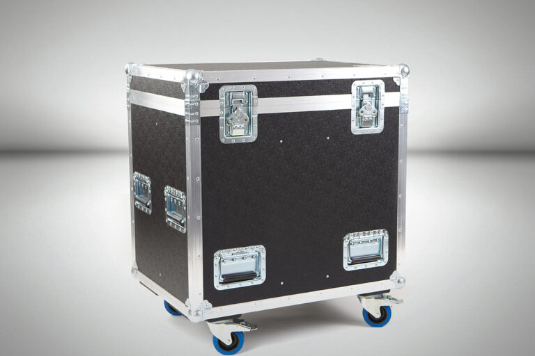 3Spotlight Sintesi Figura 12 ZS CASE