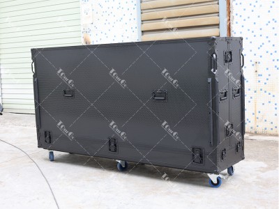 4 Transport Aviation Case