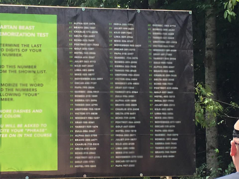 Spartan Race Obstacles MEMORIZATION WALL for memory test