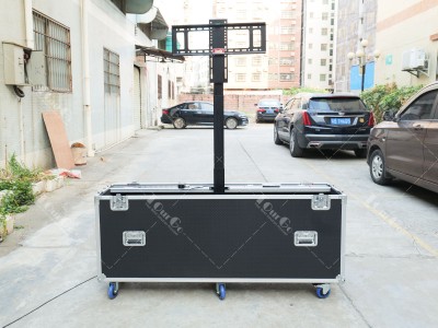Plasma Flight Case