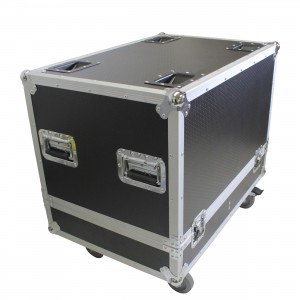 5Line Array Flight Case