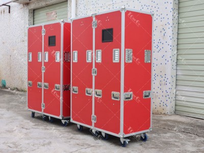5 Wardrobe Cases 