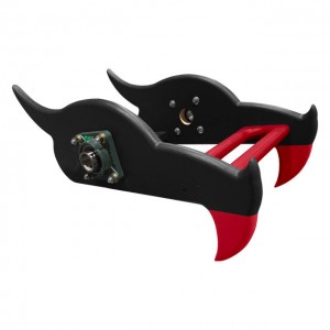 5 The Dragon Head