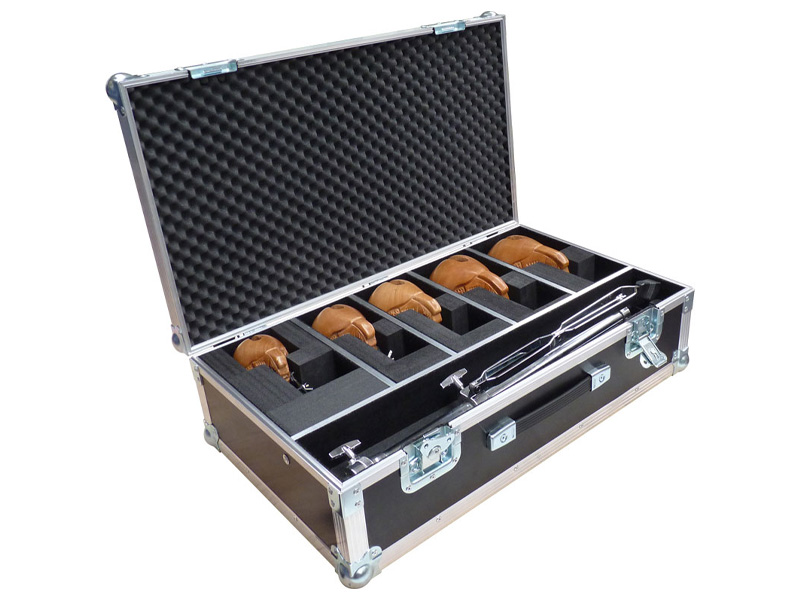 Case for a set of Wooden Fish blocks