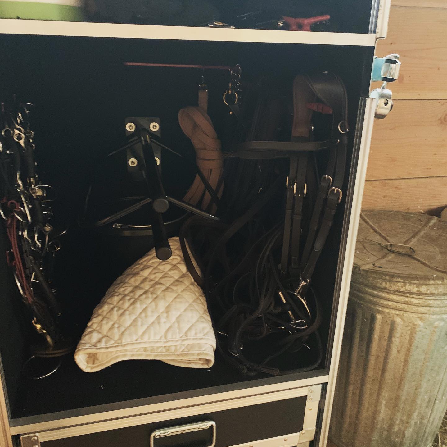 Horse Trainer Case