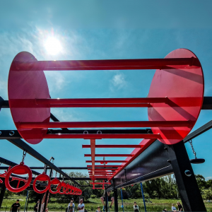 HAMSTER WHEEL