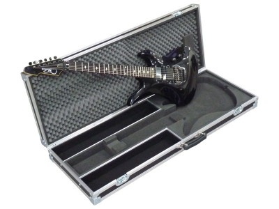 Case for guitar Malinek