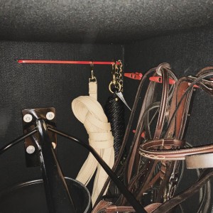 Horse Trainer Case