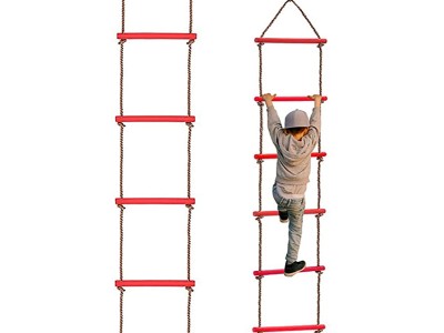 ABS ladder1