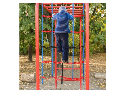Cargo Net2