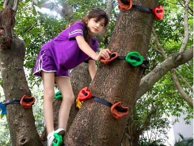 Climbing Holds5