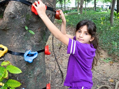 Climbing Holds6