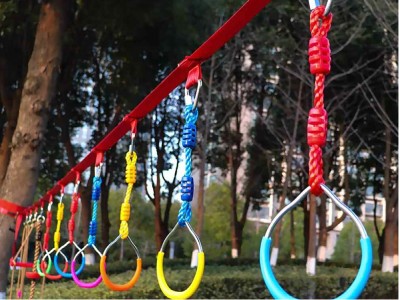 Gymnastic Rings1