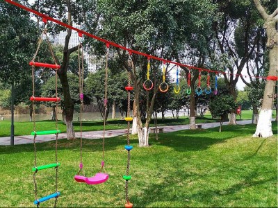 Gymnastic Rings2