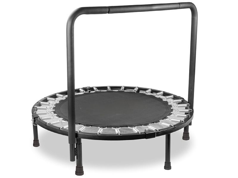 Ladybug Round+Trampoline3