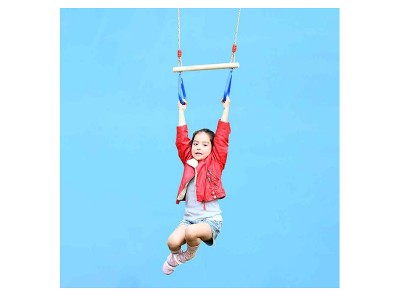 Trapeze Swing Bars1