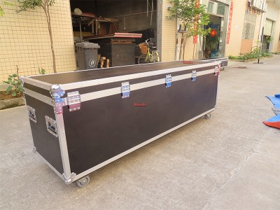 flight case (9)