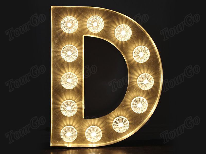 TourGo LED Lighted Decoration Lights up letter D