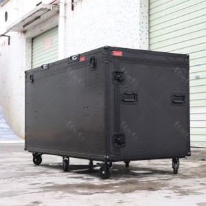 AV Broadcasting Cases