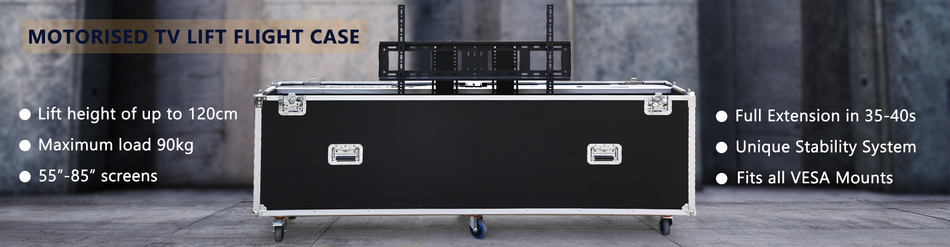 TV Flight Case